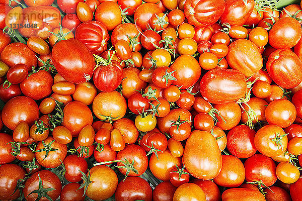 Tomaten in verschiedenen Größen