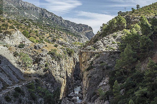 Erhöhter Blick auf Fluss und Schlucht am Caminito Del Ray  El Chorro  Malaga  Spanien