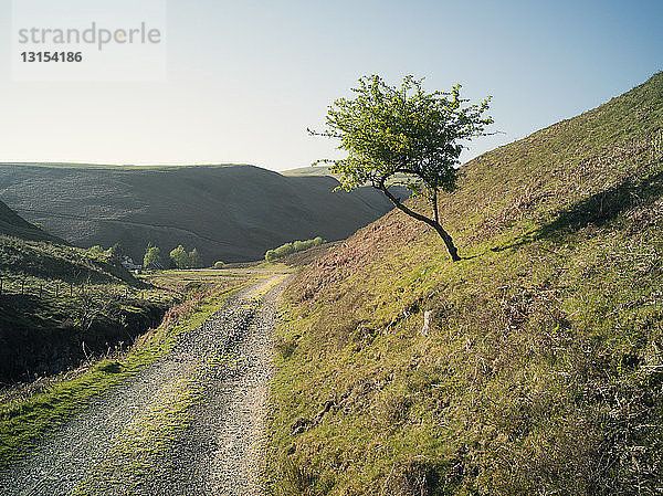 Ländlicher Feldweg  Lanarkshire  Schottland