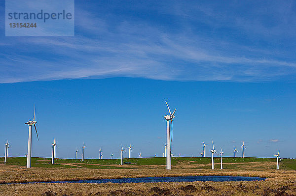 Blick auf die Turbinen des Windparks.