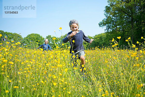 Brüder  die durch langes Gras und Blumen laufen