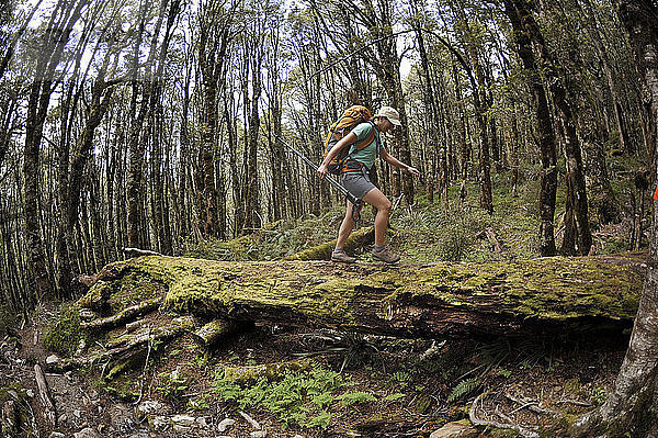 Frau beim Wandern im Wald auf einem Baumstamm  Neuseeland