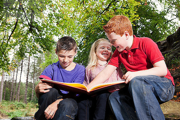 Drei Kinder schauen sich gemeinsam ein Buch an