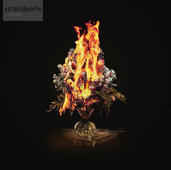 Vase mit brennenden Blumen