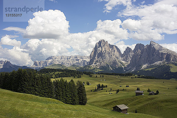 Malerische Landschaft  Alto Alige  Südtirol  Italien