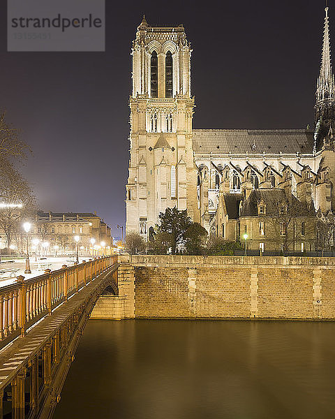 Blick auf die Kathedrale Notre Dame und Pont au Double bei Nacht  Paris  Frankreich