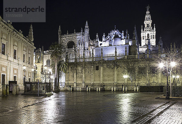 Kathedrale bei Nacht  Sevilla  Spanien