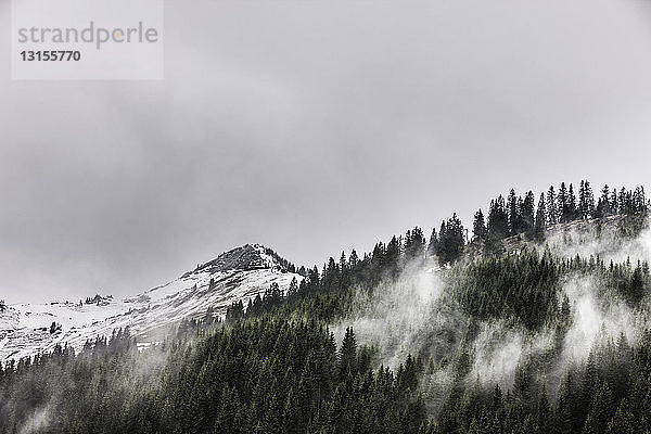 Blick auf Waldnebel und schneebedeckte Berge  Achenkirch  Österreich