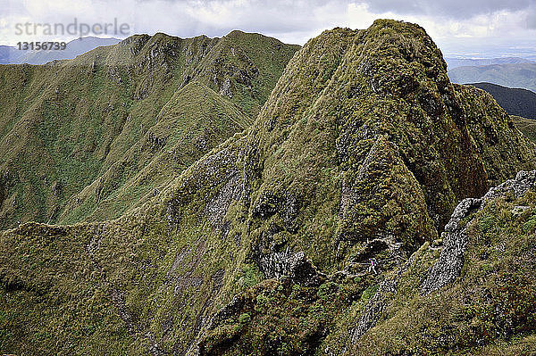 Fernblick auf eine Wanderin  die in einer Berglandschaft wandert  Tararua Ridge  Neuseeland