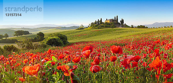 Orcia-Tal im Frühling