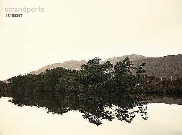 Blick auf einen ruhigen See und Bäume  nordwestliche Highlands  Schottland  UK