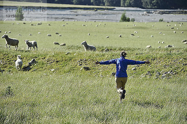 Frau läuft im Feld mit Schafen