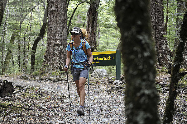 Mittlere erwachsene Frau beim Wandern im Wald  Neuseeland