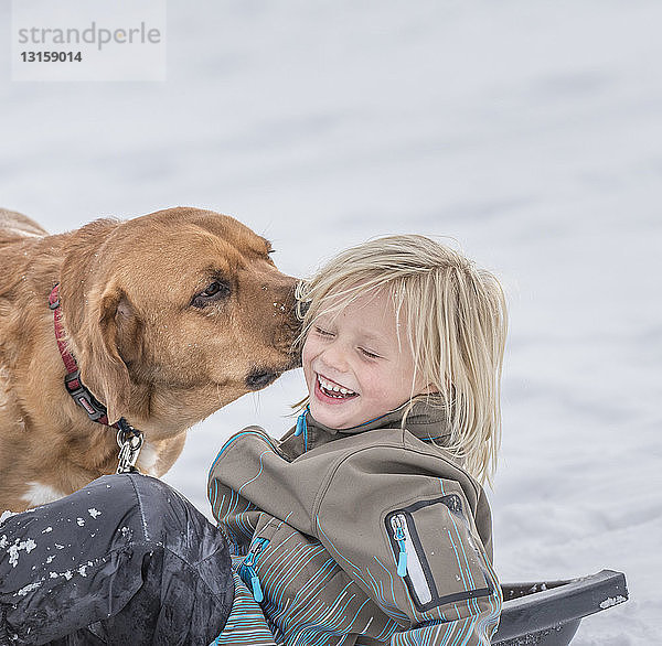 Haushund leckt Ohr des Jungen im Schnee