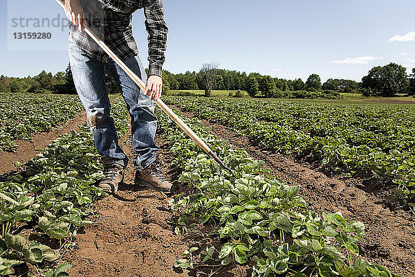 Landwirt beim Hacken