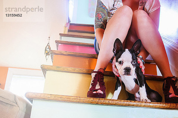 Cropped Schuss der jungen Frau sitzt auf bunten Treppe mit Hund