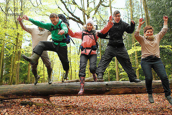 Freunde springen vom Baumstamm im Wald
