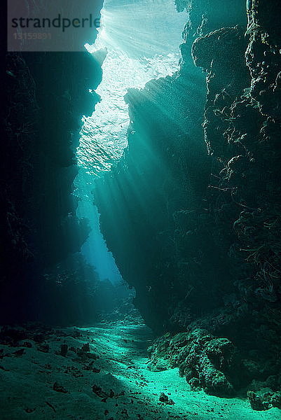 Unterwasserhöhle im Sonnenlicht  The General Store  Uepi Island  New Georgia  Salomonen