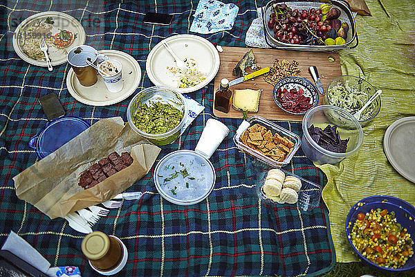 Picknickdecken mit einer Auswahl an frischen  hausgemachten Speisen