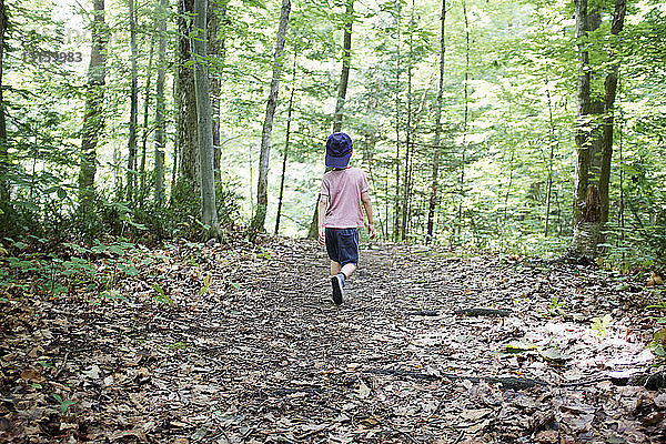 Rückansicht eines Jungen  der im Wald spazieren geht  Hudson  Quebec  Kanada