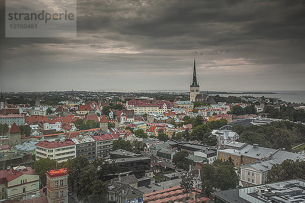 Stadtbild und Kirchturmspitze aus hohem Winkel  Tallinn  Estland