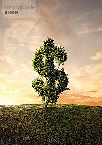 Topiary-Baum Finanzsymbol Dollar-Zeichen
