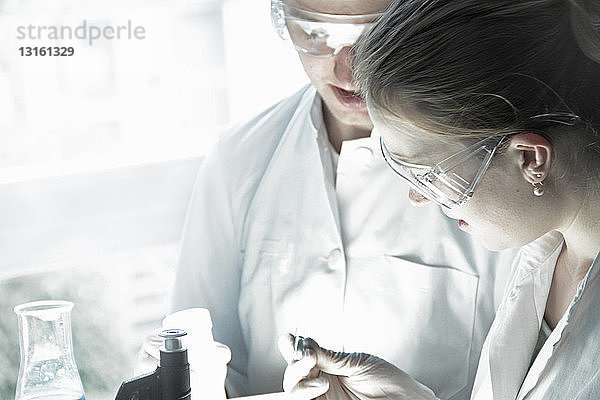 Wissenschaftler untersuchen ein Reagenzglas im Labor