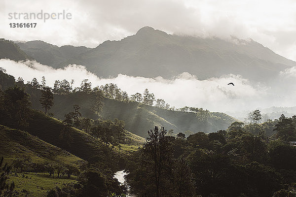 Blick auf das neblige Tal in der Morgendämmerung  Lanquin  Alta Verapaz  Guatemala  Mittelamerika