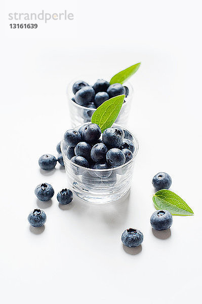 Stilleben mit Heidelbeeren im Glasbecher und Blatt