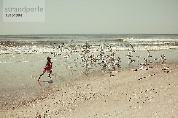 Jungen rennen am Strand mit Möwen