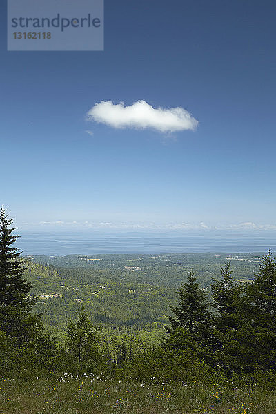 Erhabene Landschaft mit fernen Wäldern und blauem Himmel  Olympic National Park  Bundesstaat Washington  USA