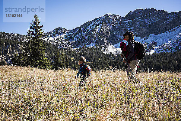 Mutter und Kinder beim Wandern  Catherine's Pass Trail  Albion Basin  Alta  Utah  USA