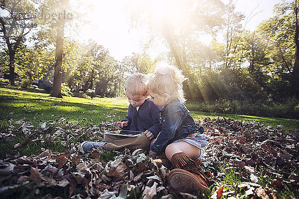 Kinder  die auf mit Herbstlaub bedecktem Gras sitzen und mit einem digitalen Tablet nach unten schauen