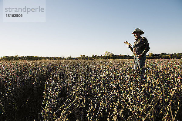 Älterer männlicher Landwirt verwendet digitale Tablette im Sojabohnenfeld  Plattsburg  Missouri  USA