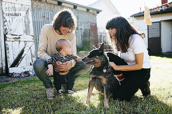 Treffen von Babyjunge und Haushund im Garten