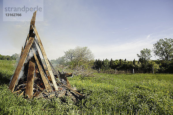 Brennendes Holzfeuer auf der grünen Wiese