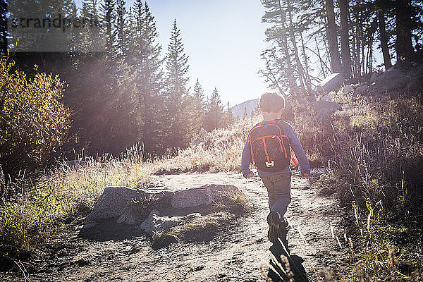 Kleinkinderwandern  Catherine's Pass Trail  Albion Basin  Alta  Utah  USA