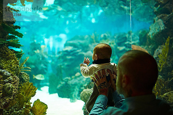 Vater und Sohn im Aquarium