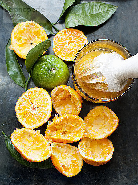 Stilleben von frisch gepressten Orangenfrüchten und Entsafter
