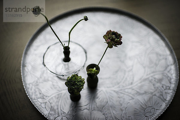 Stilleben von kleinen Vasen mit Schnittblumen auf Silbertablett