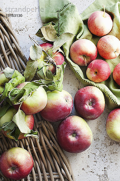 Frische Äpfel aus dem Obstgarten