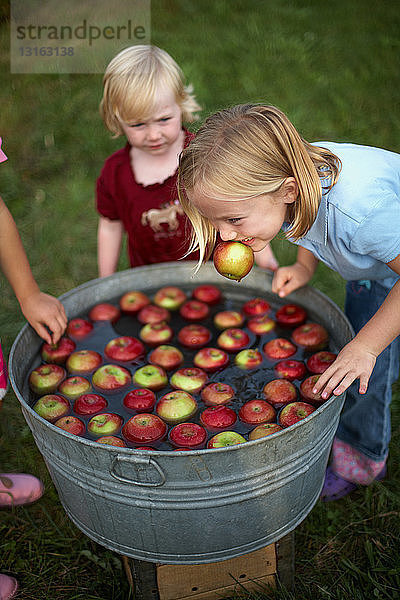 Kinder beim Apfelschütteln
