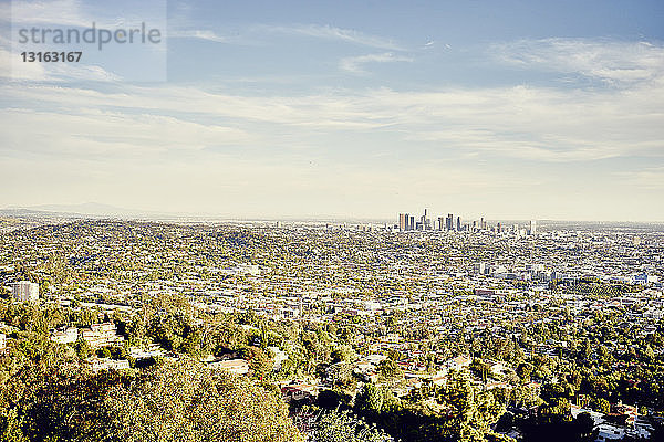 Stadtzentrum von Los Angeles  Blick vom Griffith Observatorium  USA