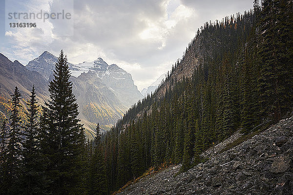 Felsige Berge vom Banff-Nationalpark aus gesehen  Alberta  Kanada