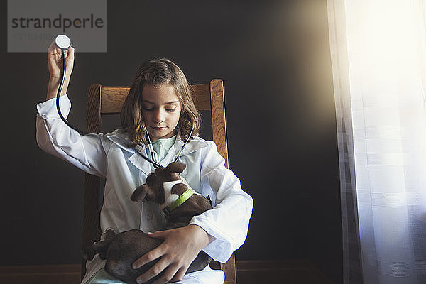 Als Ärztin verkleidetes Mädchen sitzt auf einem Stuhl und kümmert sich mit Hilfe eines Stethoskops um Boston-Terrier-Welpen