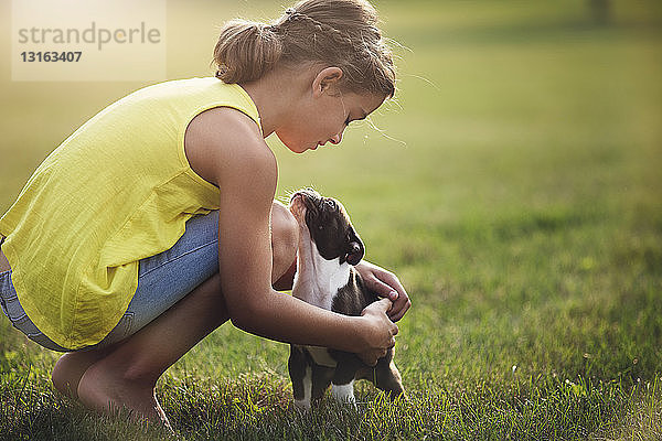 Seitenansicht eines auf Gras kauernden Mädchens  das einen Boston-Terrier-Welpen streichelt