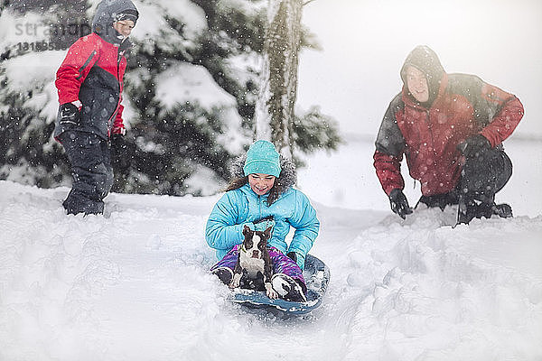 Vater  Sohn und Tochter rodeln mit Boston-Terrier-Welpe auf schneebedecktem Hügel lächelnd