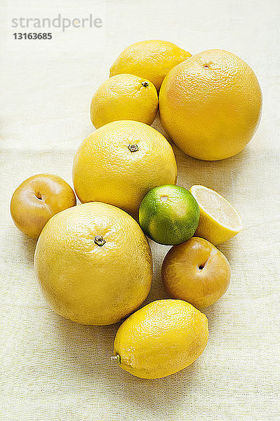 Stilleben von frischen Pampelmusen mit Zitronen und Limonen