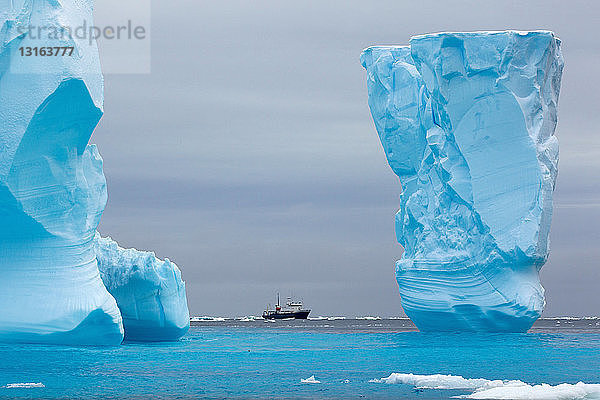 Abenteuer-Forschungsschiff Spirit of Enderby zwischen Eisbergen in der Eisscholle im Südpolarmeer  180 Meilen nördlich der Ostantarktis  Antarktis