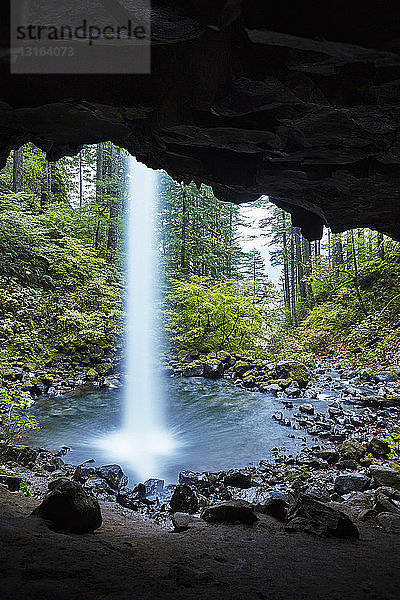 Ansicht der Schachtelhalmfälle aus einer Höhle  Oregon  USA